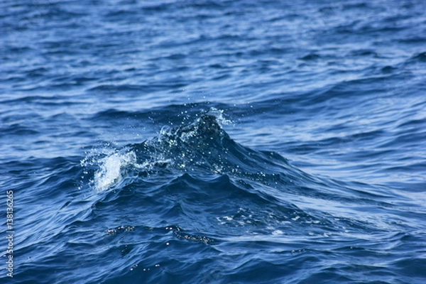Obraz waves at sea
