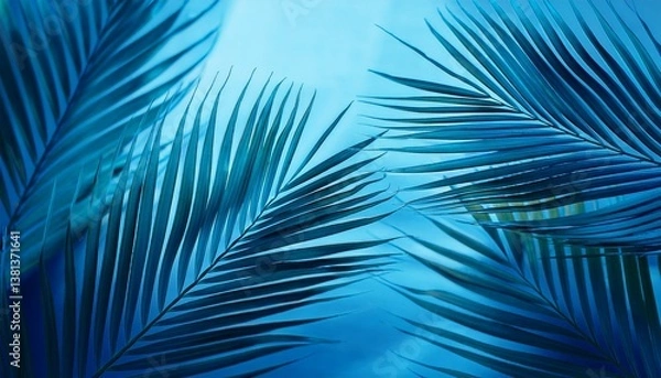 Fototapeta tropical palm leaf abstract blue background