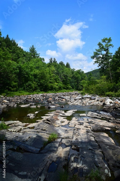 Fototapeta River Bed