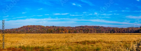 Fototapeta Fall Plain