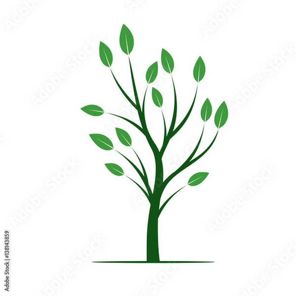 Fototapeta Green Tree with Leafs. Vector Illustration.