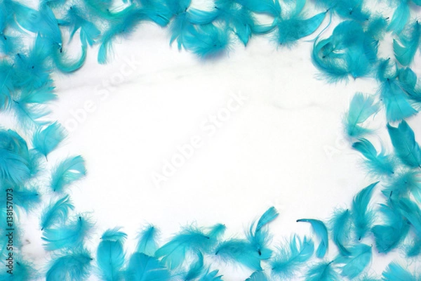 Obraz Frame of feathers turquoise