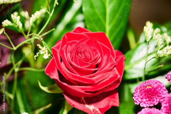 Obraz pink roses on green background