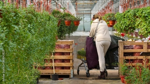 Obraz Female shopper in light beige tracksuit standing back with cart in garden center among lush greenery ornamental plants. Spring, garden chores.