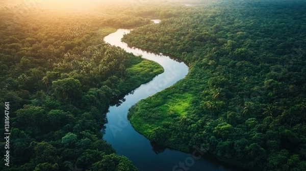 Obraz Serpentine river carving its way through a verdant jungle landscape seen from above
