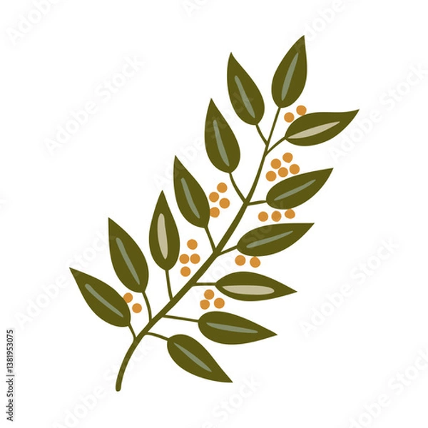 Obraz Ravintsara Branch with Berries Illustration