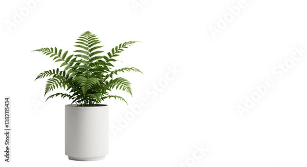 Fototapeta Green Fern in Transparent Pot against Clean Transparent Background for Decor