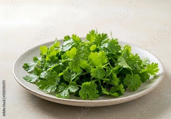 Fototapeta Fresh cilantro leaves, vibrant green and glistening with dew, resting on a simple off-white plate, a culinary delight ready to enhance any dish.