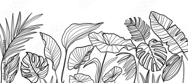 Fototapeta Tropical leaves background vector. Natural jungle monstera palm leaves design in minimal black and white color with contour line art. Design for fabric, print, cover, banner, decoration, wallpaper.