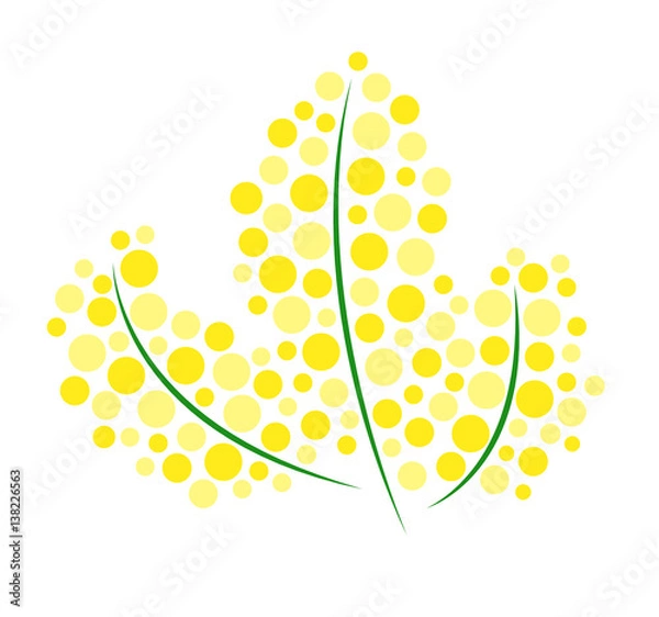 Obraz Mimose in flat design