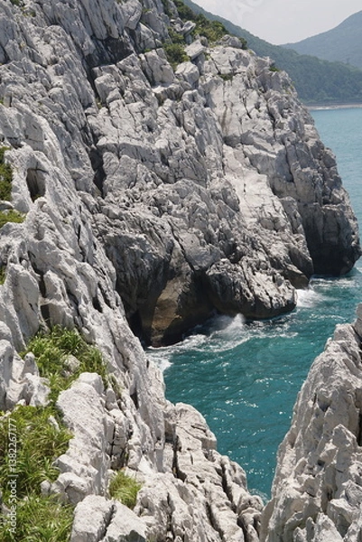 Fototapeta 白崎海洋公園