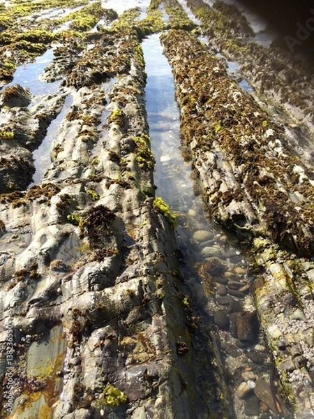 Obraz Rocks at beach