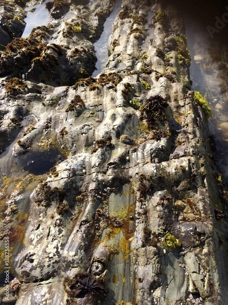 Obraz Rocks at beach