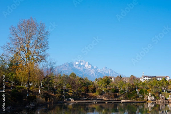 Obraz autumn in the park