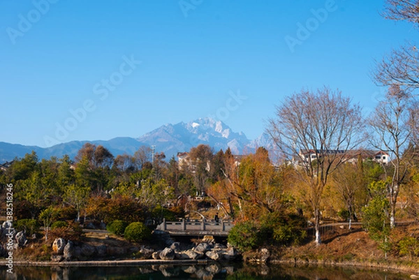 Obraz landscape with trees