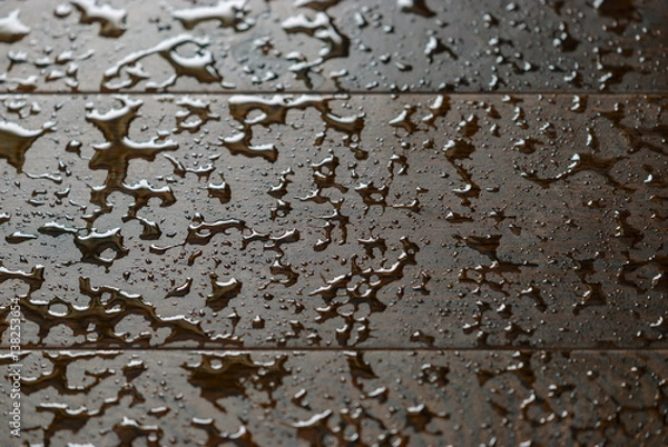 Obraz Background of oak planks with water drops