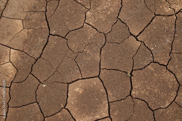 Obraz The soil for cultivation has cracks