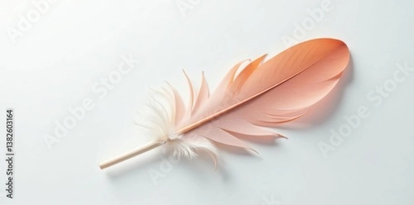 Fototapeta A single feather lying on a smooth white surface, feather, blank, solo