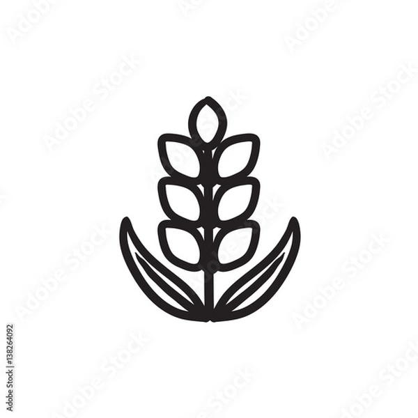 Fototapeta Wheat sketch icon.