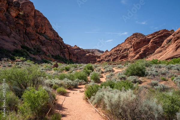 Obraz View of red rocks in Red Cliff National Conservation Area, Utah, USA.	