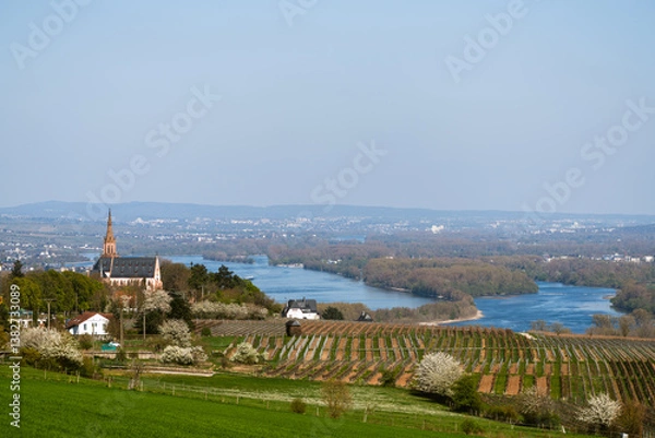 Obraz Rochusberg, April 2025