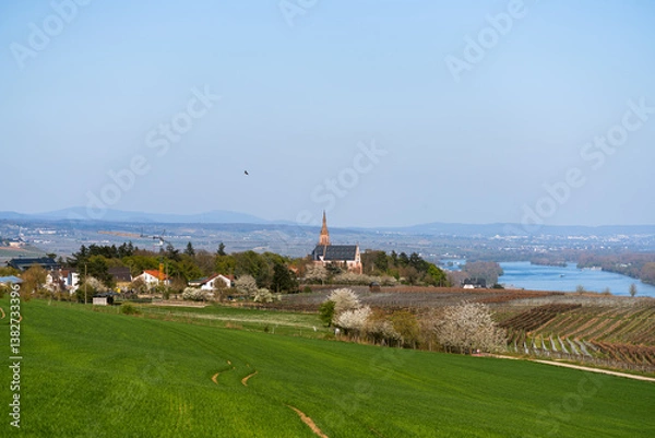 Obraz Rochusberg, April 2025