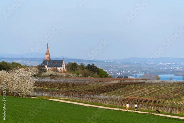 Obraz Rochusberg, April 2025