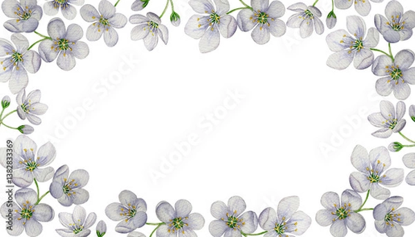 Obraz Cherry Blossom Frame. Watercolor illustration. White background. For your design