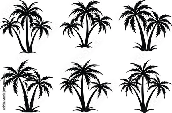 Obraz plam tree silhouette on white background