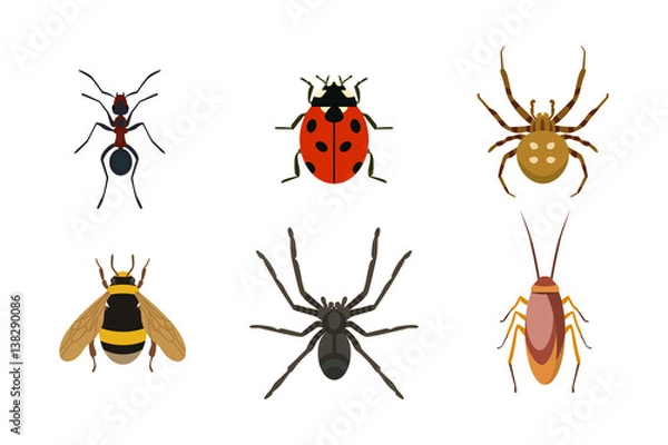 Fototapeta Insect icon flat isolated nature flying bugs beetle ant and wildlife spider grasshopper or mosquito cockroach animal biology graphic vector illustration.