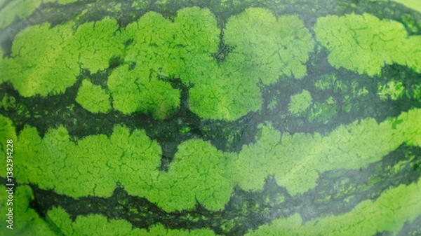 Fototapeta Surface of watermelon skin background, Close up of watermelon textured