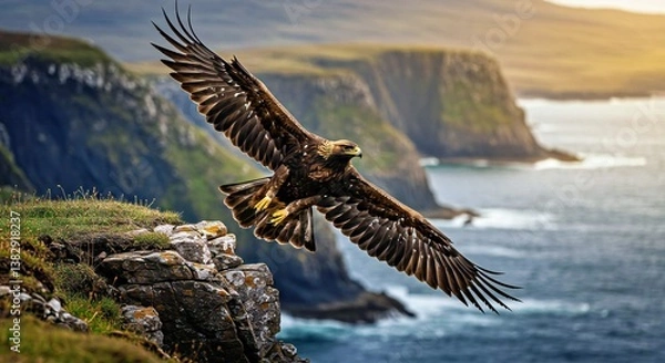 Fototapeta A Majestic Golden Eagle Spreads Its Immense Wings as It Glides Over a Rugged Scottish Highland Cliffside, Its Golden-Brown Feathers Illuminated by the Last Rays of the Setting Sun_