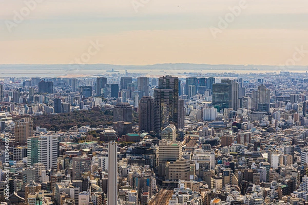 Fototapeta 渋谷スカイ