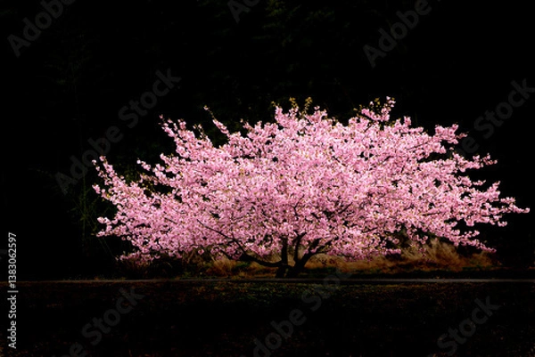 Obraz 在りし日（記憶の中の）