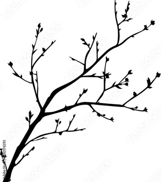 Obraz black and white silhouette of a twig with leaves, minimalist vector illustration