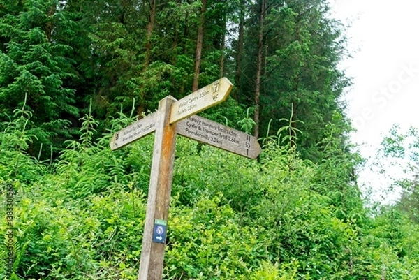 Fototapeta Postbridge England - 18 June 2024 - Trail marker to Bellever Tor in Dartmoor National Park in Devon England