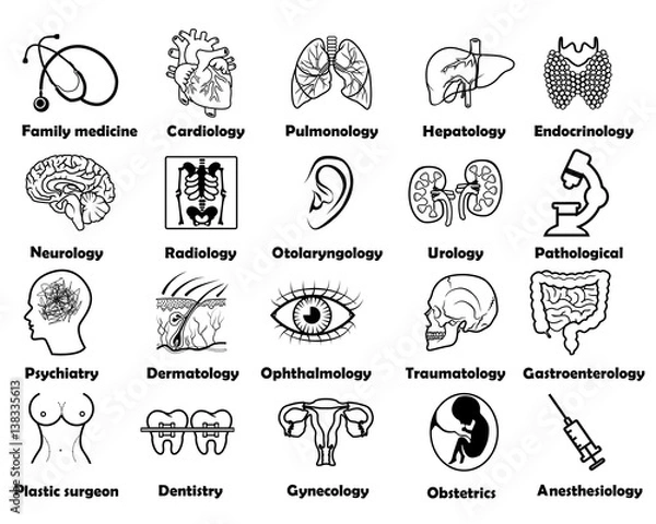 Fototapeta medical sciences set