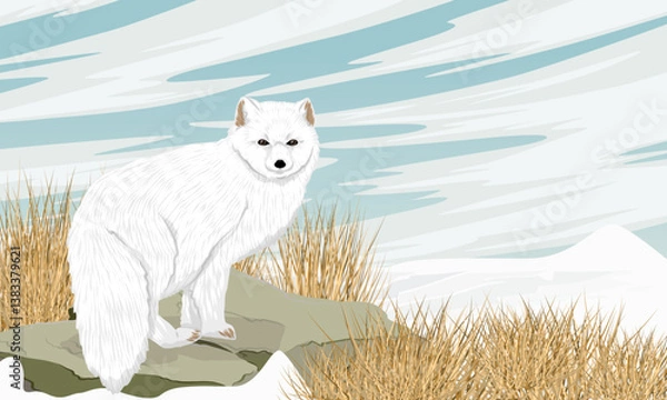 Fototapeta Arctic fox standing on a rock on a snowy northern plain. Realistic vector landscape