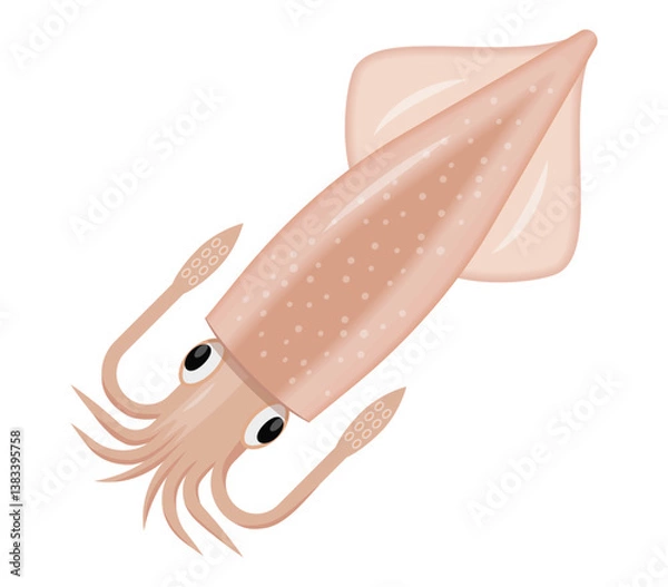 Obraz イカのイラスト