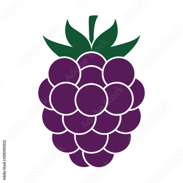 Obraz vector illustration of a raspberry