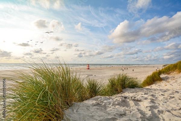 Obraz View to beautiful landscape with beach and sand dunes near Henne Strand, North sea coast landscape Jutland Denmark