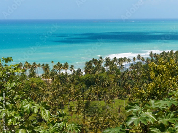 Fototapeta Beautiful turquoise ocean view with palm trees. Dominican Republic. 