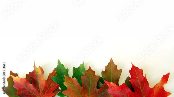 Obraz jesienne liście