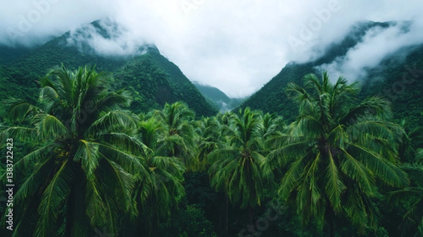 Fototapeta Lush palm trees in a vibrant green forest, framed by misty mountains under a cloudy sky, creating a serene and tropical atmosphere.