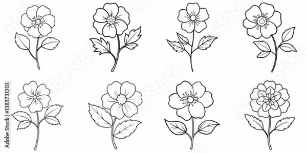 Fototapeta Potentilla Flower Outline Vector – Line Art Drawing Set for Coloring Book Page on White Background

