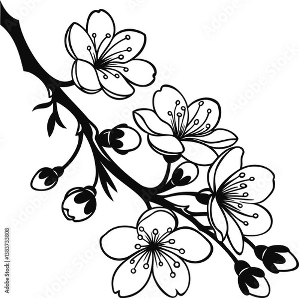Obraz cherry blossom branch vector 