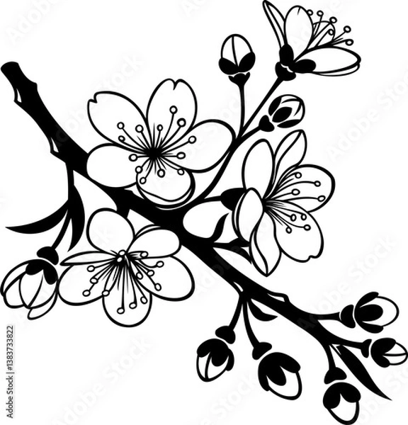 Obraz cherry blossom branch vector 