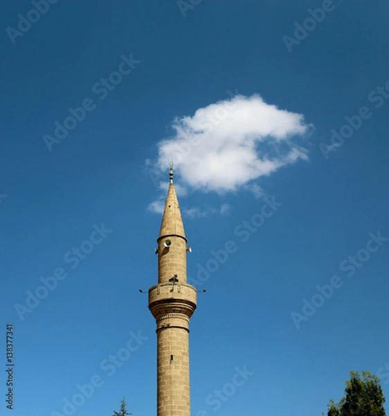 Fototapeta Mosque on background of sky