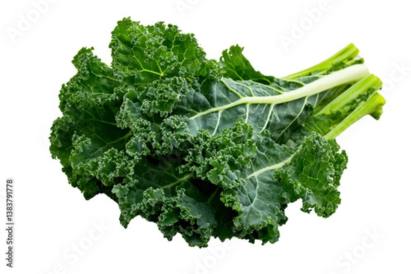 Fototapeta A set of leafy green kale, arranged in a bouquet-like shape, isolated on a transparent background, PNG file.