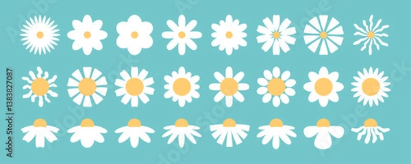 Obraz Set of white daisy flowers with different petals and stamens in different positions. Vector illustration.